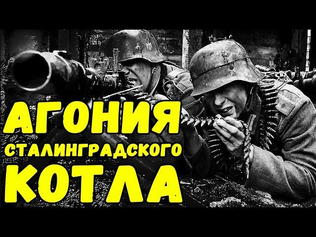 Они плакали, ругались, но продолжали жрать конину | Письма с фронта