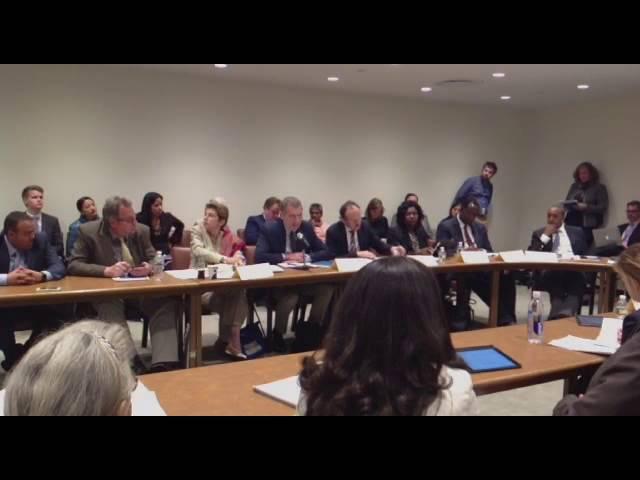 Event: Effective Development Co-operation and the UN 2030 Agenda: Part 2 of 2