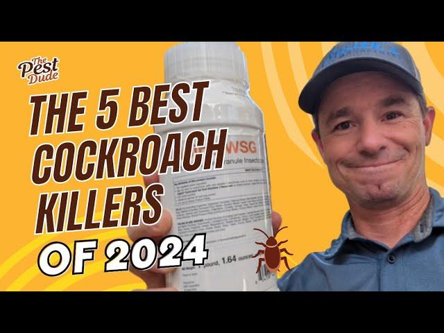 Top 5 Best Roach Killers of 2024, According to an Exterminator