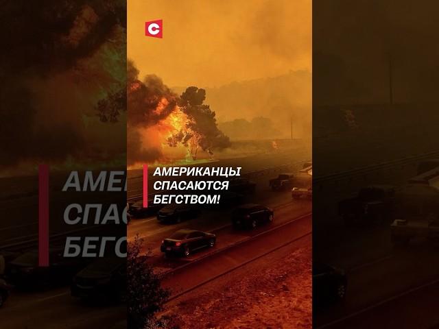 Калифорния охвачена мощными пожарами! #сша #чп #пожар #калифорния #катаклизм #катастрофа #новости