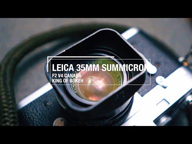 The King Of Bokeh? - Leica Summicron V4 (+Sample Photos)