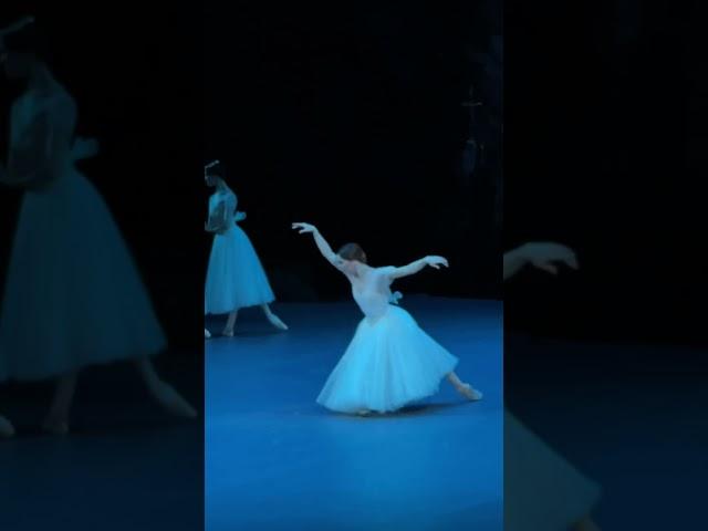 Мирта заставляет Жизель танцевать #bolshoitheatre #giselle Евгения Образцоаа #ballet #ballerina