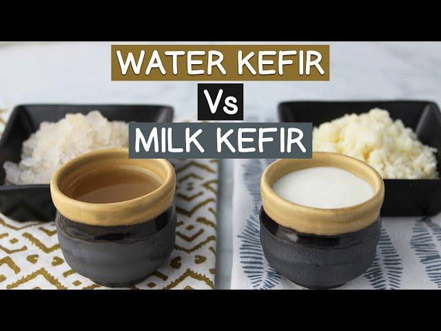 Water Kefir Vs Milk Kefir, Using Kefir Grains Not Powders