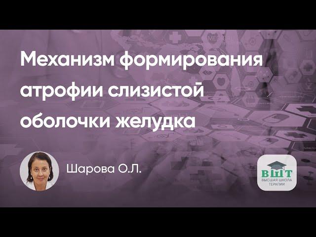 Печень и желудок. Стеатоз печени – фактор атрофии слизистой оболочки желудка. Возможности терапии