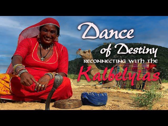 DANCE OF DESTINY: RECONNECTING WITH THE KALBELYIAS #camelfair  #kalbelyias#danceofdestiny
