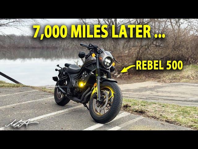 Ultimate HONDA REBEL 500 Review: LOVE & HATE Exposed!