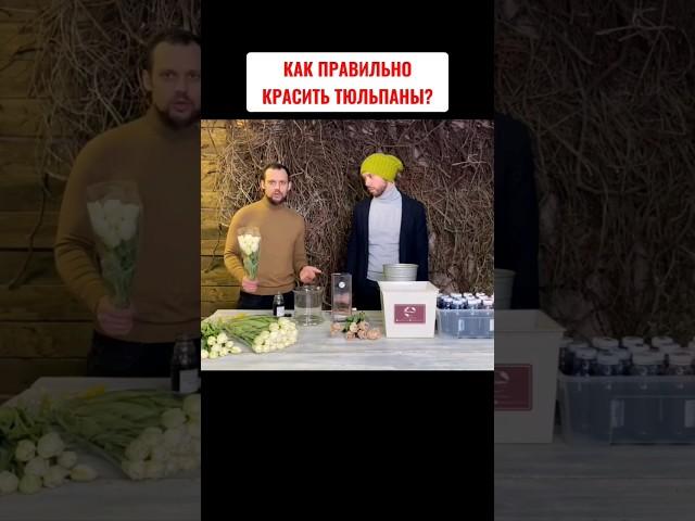 Как ПРАВИЛЬНО красить тюльпаны? Как покрасить цветы.