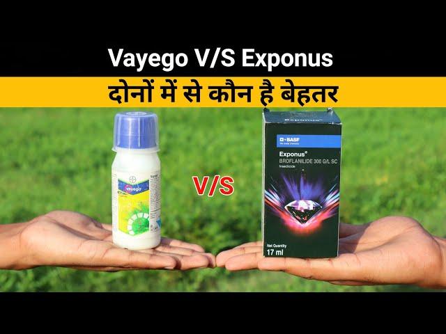 Vayego vs Exponus किसका कितना दम || Exponus और Vayego दोनों में से कौन है बेहतर