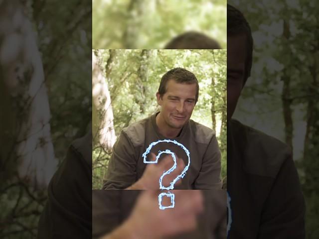 UNTOLD STORY OF BEAR GRYLLS!!  #informative #manvswild