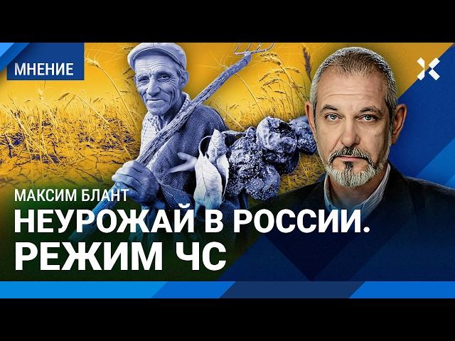 БЛАНТ: Неурожай в России: режим ЧС. Хлеб будет дорожать, максимальный рост цен — на яблоки