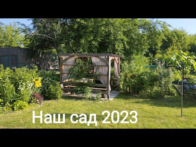 Наш простір 2023