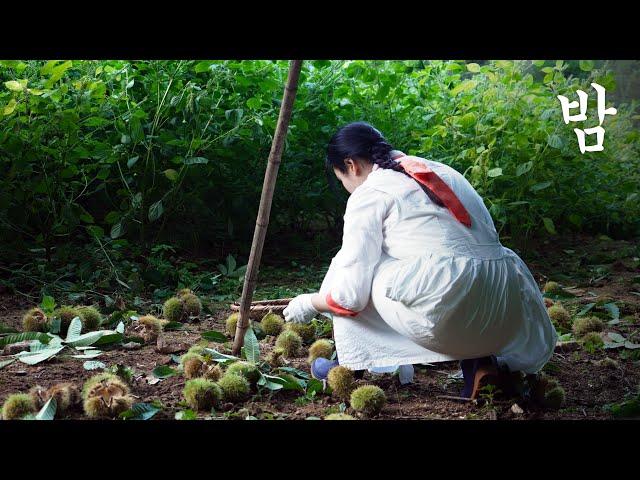 I harvested chestnuts and made chestnut Yanggaeng  I eat royal snacks  Yulan