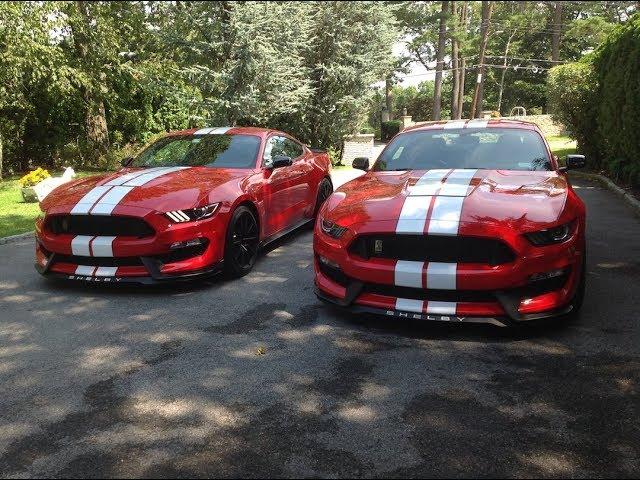 2017 Shelby GT350 Review ( NY Daily Driver Round 1)| Auto Fanatic