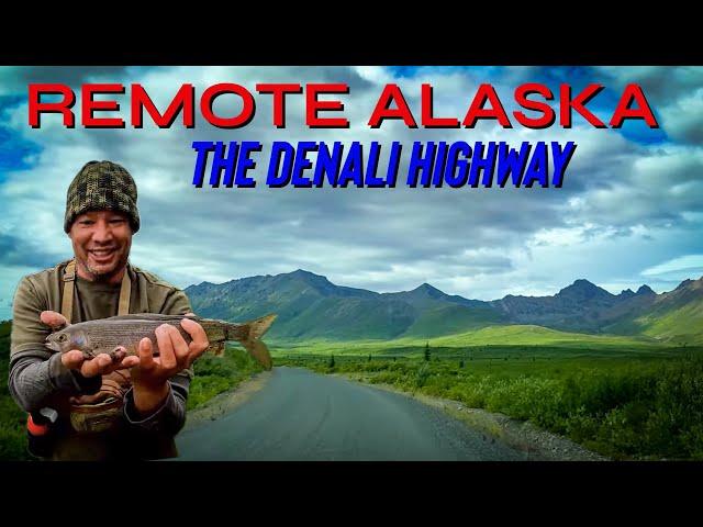 Fishing for Arctic Greyling and Picking fresh Blueberries along the Denali Highway!