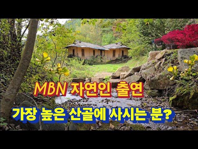 MBN자연인 조작이니 뭐니 해서 직접가보니 큰 산개들이 길을 가로 막는데?