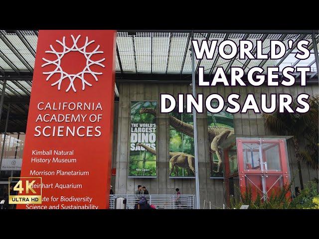 California Academy of Sciences Museum Worlds Largest Dinosaurs in San Francisco