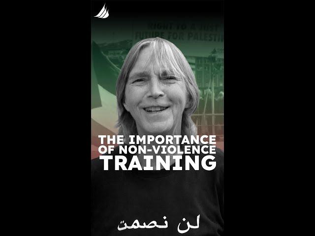 Lisa, one of our non-violent direct action trainers for the Freedom Flotilla 2024 in Instabul.