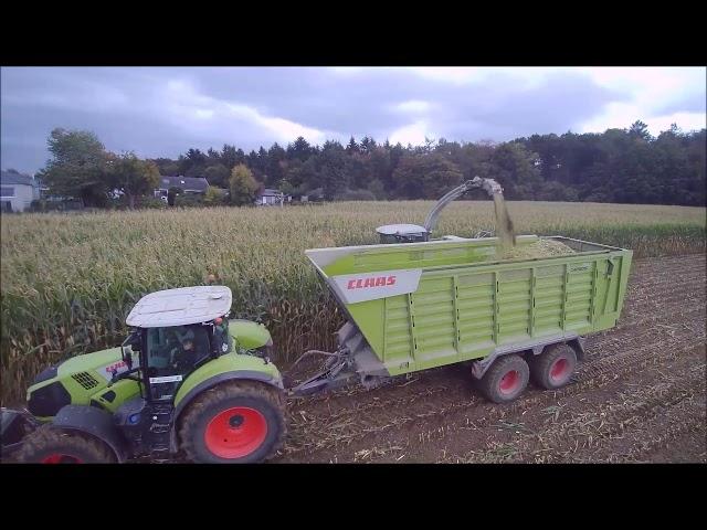 Maishäckseln 2019 Lohnbetireb Max Wagner/Claas Jaguar/Claas Axion/John Deere