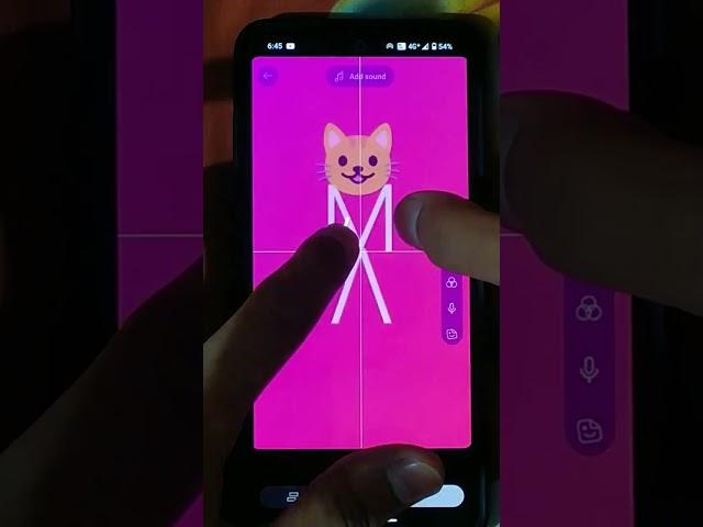 cat  tutorial 