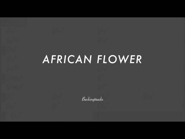 African Flower chord progression - Jazz Backing Track Play Along The Real Book