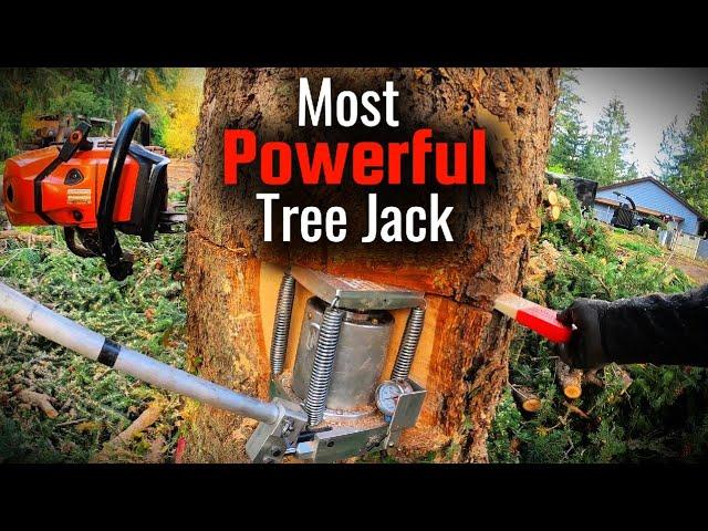 Busting Out The BIGGEST Tree Jack Ever! 150ft Tree Takedown!