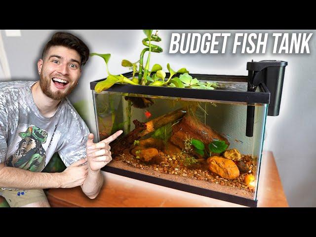 How To Build A FISH TANK on a BUDGET! Natural Aquarium Set Up Tutorial! For Cheap!