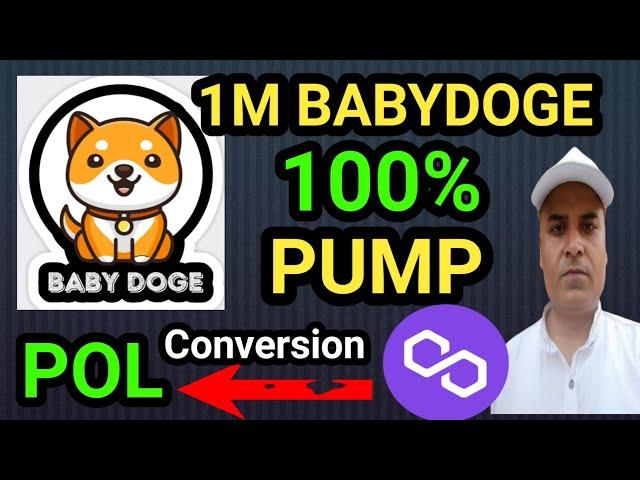 1M BABYDOGE 100% PUMP || Baby Dogecoin Conversion || Polygon Matic to POL Conversion || Crypto