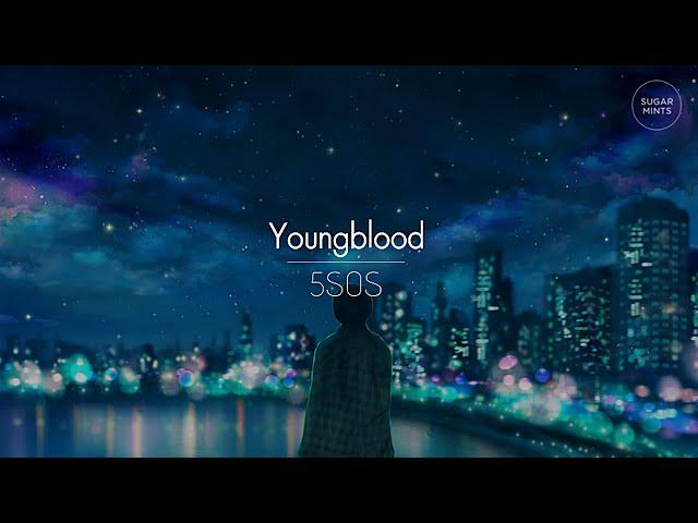 [한글번역] 5 Seconds Of Summer - Youngblood