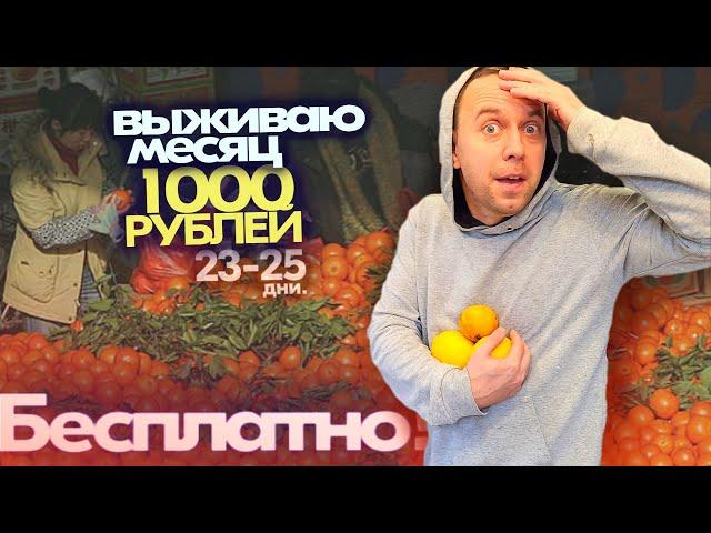 С МЕНЯ ХВАТИТ  Бесплатная ЕДА  Живу МЕСЯЦ НА 1000 РУБЛЕЙ дни 23-25