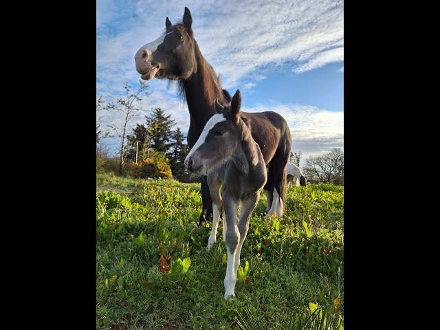 May 2024 - update from our farm