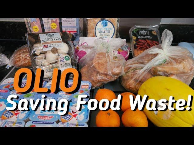 Olio Collection  Free Food  Saving Food Waste  OLIO