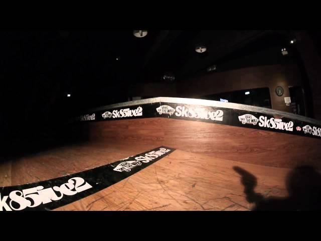 Vans Sk85ive2 : Piet Guilfoyle ONE MINUTE MAN