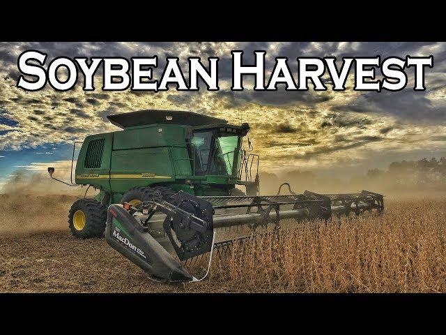 SOYBEAN HARVEST 2017 | WERNER FARMS