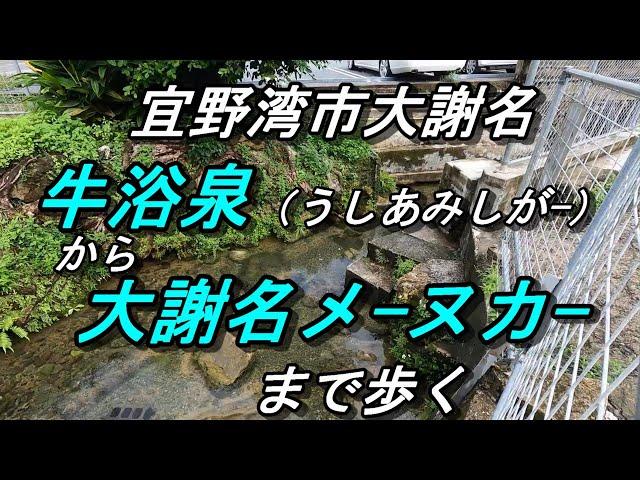 【沖縄の湧水】宜野湾「牛浴泉」うしあみしがーと「大謝名めーぬかー」水量豊かな二つの湧き水～