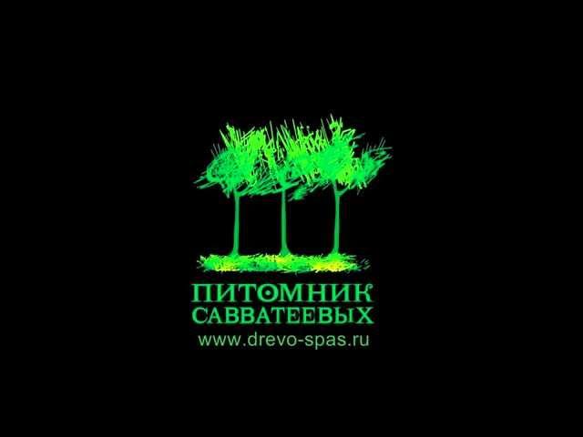 Питомник Савватеевых