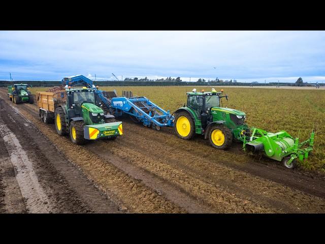 Big New Zealand Carrot Harvest - John Deere 6R 250 & 8R 410