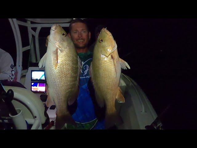 How to catch the HUGE Mangrove snappers