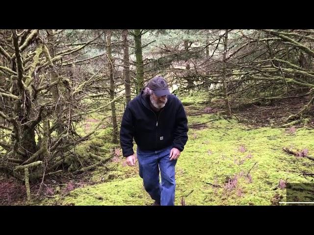 Paul encounters the purple club fungus, Alloclavaria purpurea