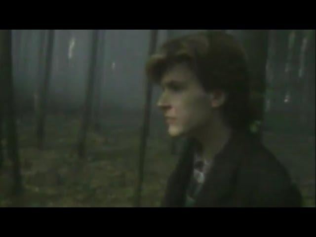 David Sylvian - The Women at the Well