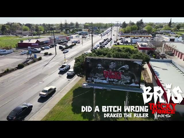 BRIS - DID A B WRONG FT. DRAKEO THE RULER (Visualizer)