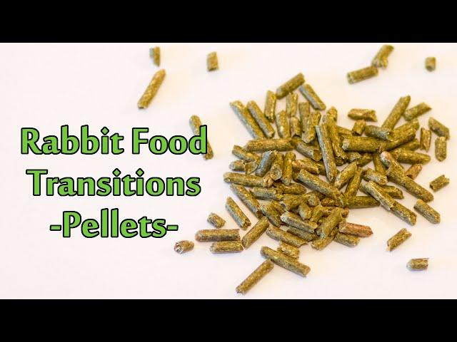 Changing Your Rabbit's Diet - Pellet Transition | Bunny Basics