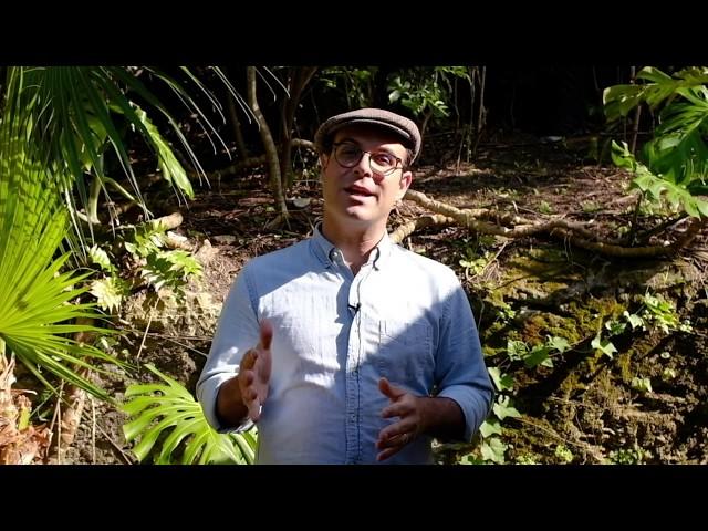 Episode 3: Creating Your Dream Garden
