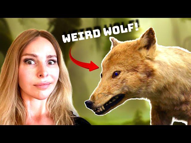 THE 5 WEIRDEST WOLVES on PLANET EARTH!