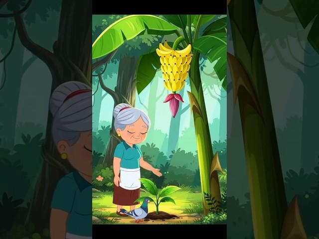 Grandmother With Her Pegion Friend Planted a Banana#shorts #youtubeshorts #ai #grandmother