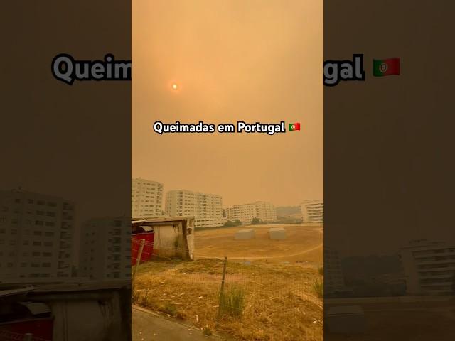 Incêndios em Portugal fumaça na região do Porto #portugal #viralvideo