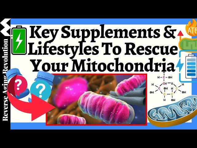 KEY Supplements & Lifestyles To RESTORE Your Mitochondrial Health - A Comprehensive Guide