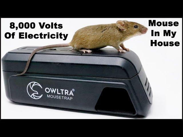 8,000 Volts Of Electricity End A Mouse Home Invasion. The OWLTRA Infrared Trap.  Mousetrap Monday