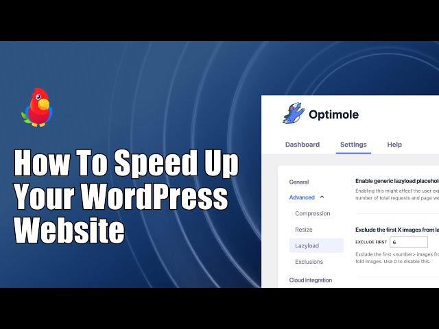 How  to Speed up Your WordPress Website [2023]