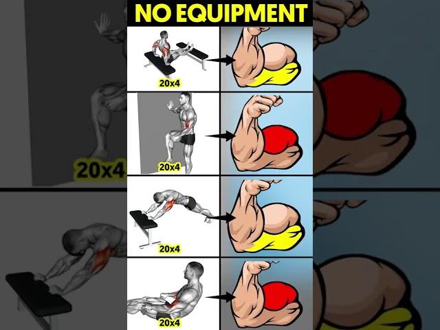 No equipment arm workout !! Biceps Workout Without Equipment !! No Equipment Workout !!