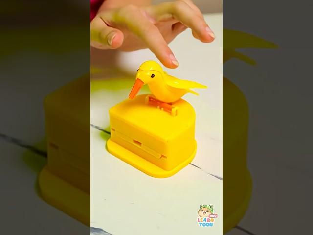 Let's Learn to BUILD Amazing Geometric Shapes with Me 🟩  🟡 #Kids #Learning